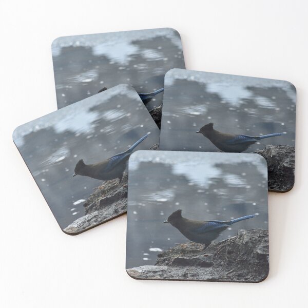 Item preview, Steller's Jay designed and sold by Seradeoro.