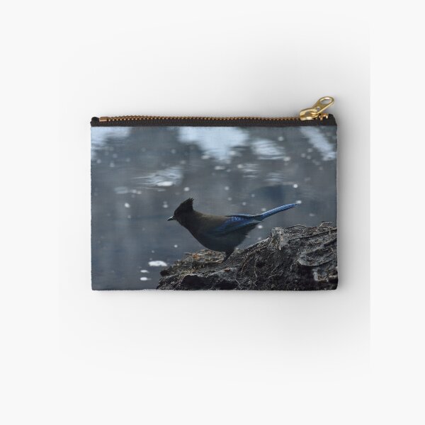 Artikelvorschau, Stellers Jay entworfen und verkauft von Seradeoro.