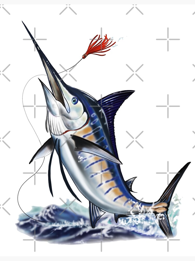 Blue Marlin Digital Drawing By Antartoutdoors Greeting Card By Antartoutdoors1 Redbubble Today i will show you how to draw marlin from finding dory and finding nemo. redbubble