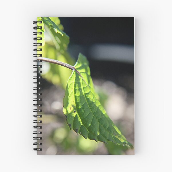 Item preview, Leaf with Sun designed and sold by Jodie Cooper.