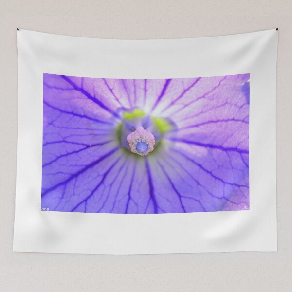 Item preview, Morning Glory designed and sold by LisaWootenPhoto.