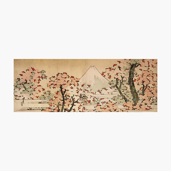 'Mount Fuji Behind Cherry Tree and Flowers' by Katsushika Hokusai (Reproduction) Photographic Print