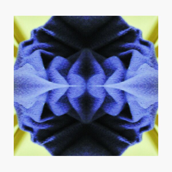 Item preview, SS-Reflectogram designed and sold by farmbrough.