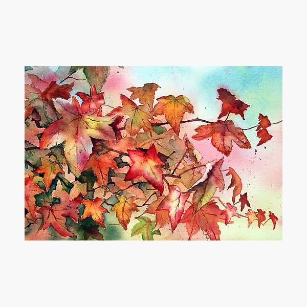 Autumn Branches Photographic Print