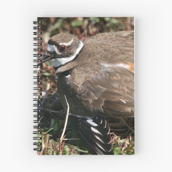 Item preview, A Killdeer Mother's Instinct... designed and sold by RichImage.