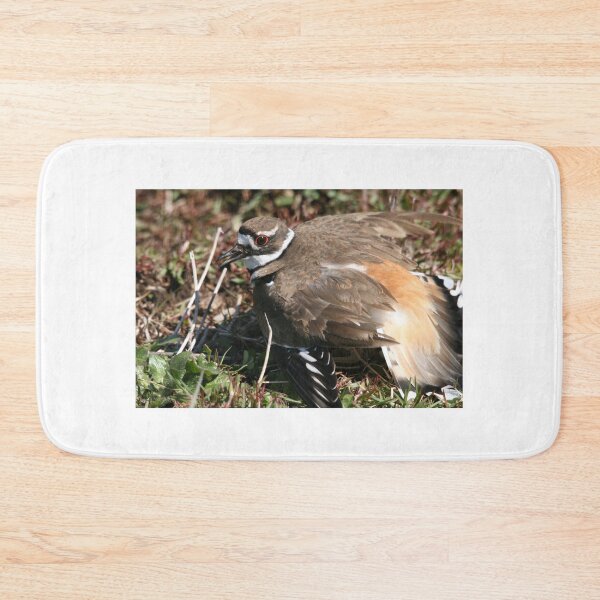 Item preview, A Killdeer Mother's Instinct... designed and sold by RichImage.