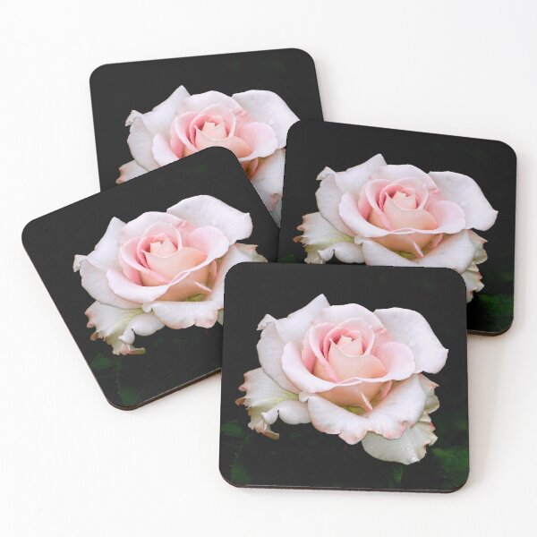 Item preview, Delicately pink rose designed and sold by BBrightman.