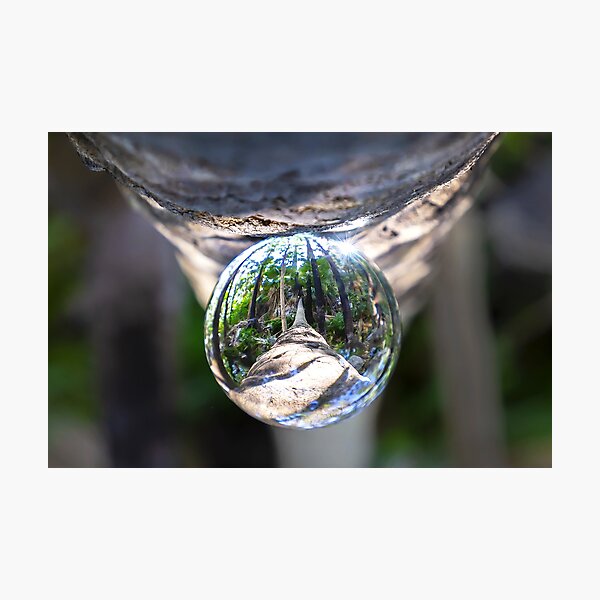Creative Collection - Tree Drop Zebadee Falls Photographic Print