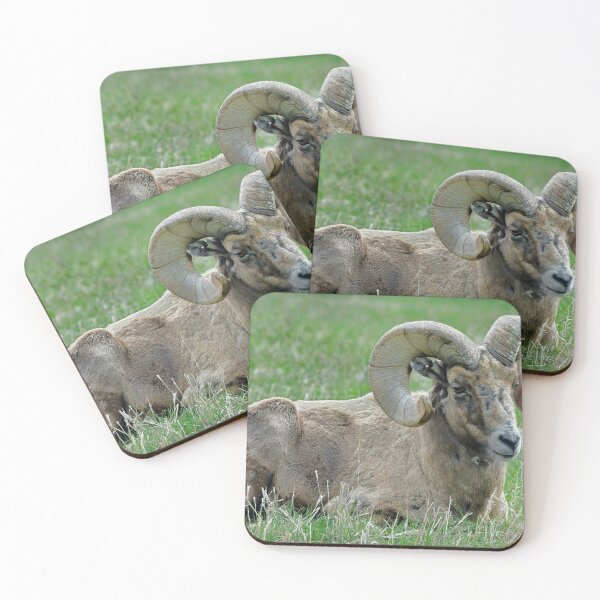 Item preview, Big Horn Sheep Portrait designed and sold by Karen Peron.