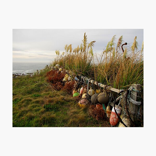 Item preview, Coastal Fence...Waldport, Oregon designed and sold by Diane Arndt.