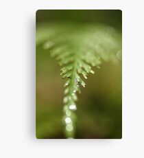 Jagged edges Canvas Print