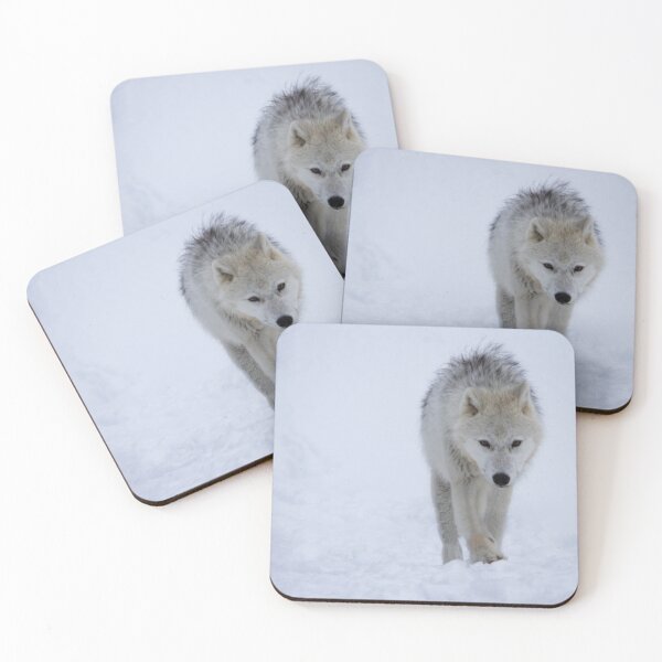 Item preview, Arctic wolf front facing designed and sold by celinebisson.
