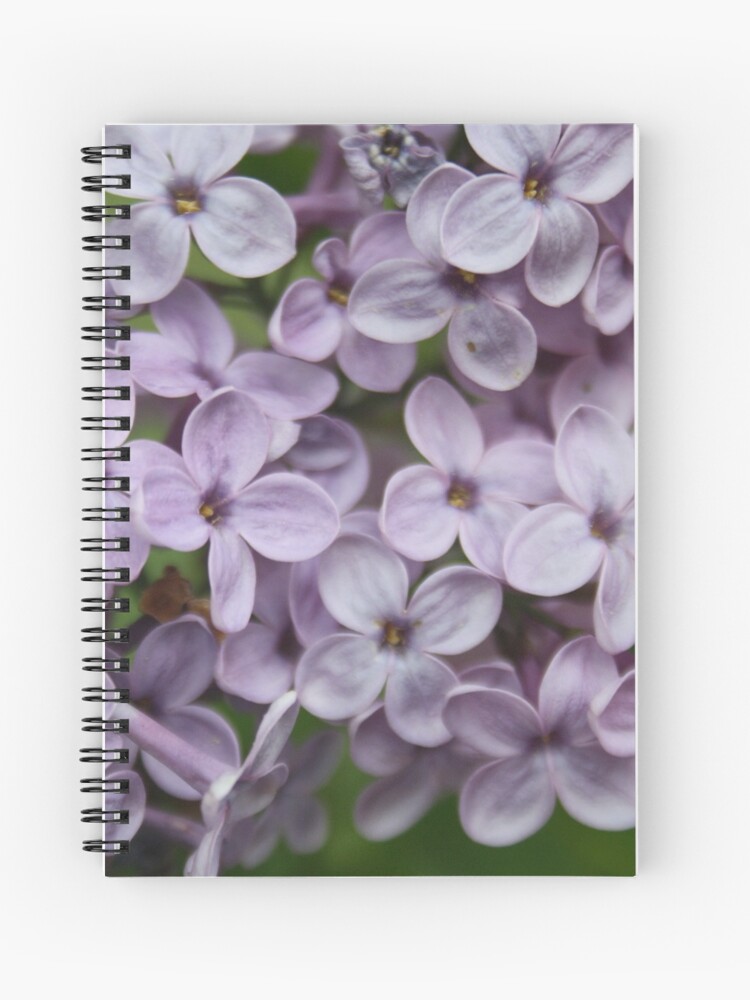 Cuaderno de espiral «Cerca de la flor de lila persa» de taiche | Redbubble