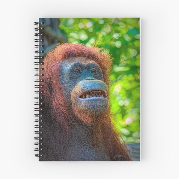 Item preview, Orangutan 2 designed and sold by photograham.