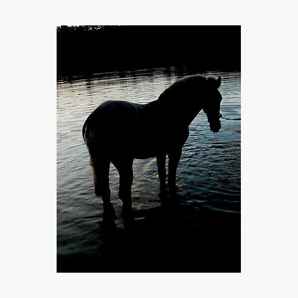Trojan Horse Photographic Print