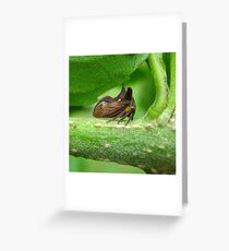 Three-Horned Treehopper Greeting Card