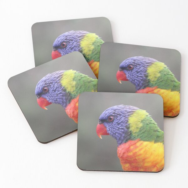 Item preview, Friendly Rainbow Lorikeet at Green Patch in Jervis Bay, NSW designed and sold by Lozzie Eliza Designs.