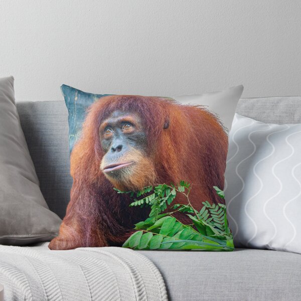 Item preview, Orangutan 3 designed and sold by photograham.
