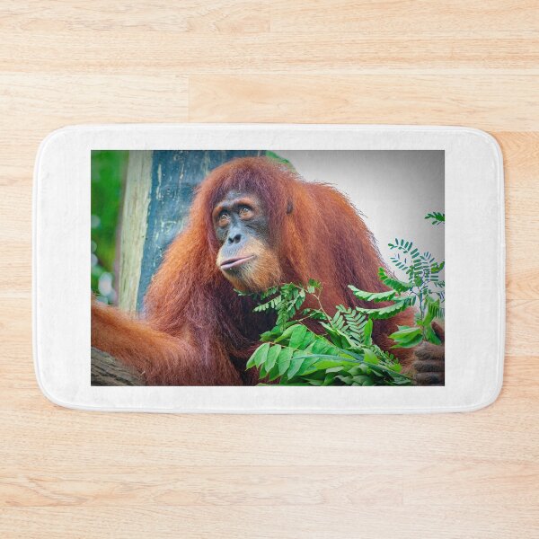Item preview, Orangutan 3 designed and sold by photograham.