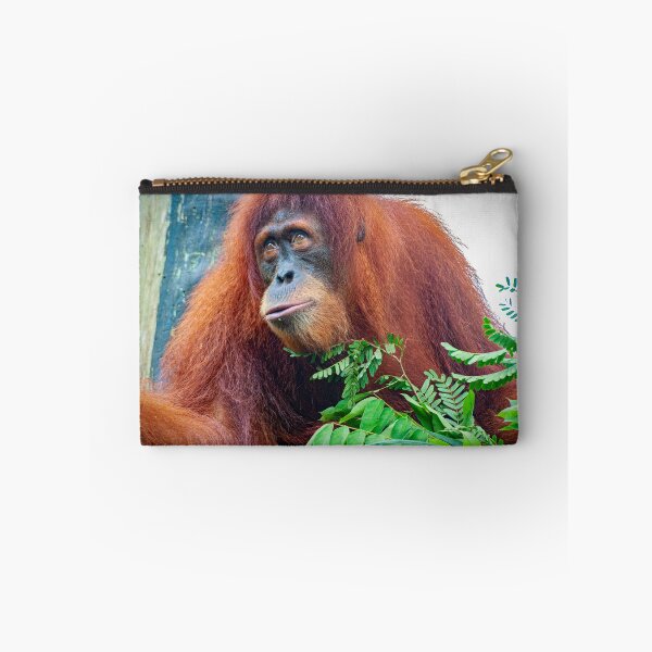 Item preview, Orangutan 3 designed and sold by photograham.