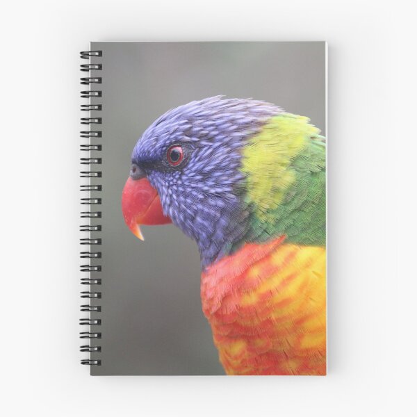 Item preview, Friendly Rainbow Lorikeet at Green Patch in Jervis Bay, NSW designed and sold by Lozzie Eliza Designs.