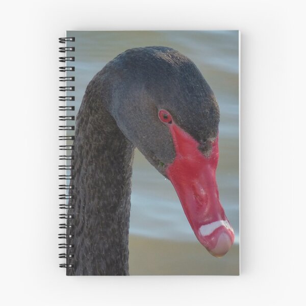 Item preview, Portrait of a Black Swan designed and sold by stevealder.