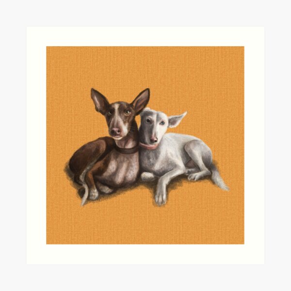 The Podenco Art Print