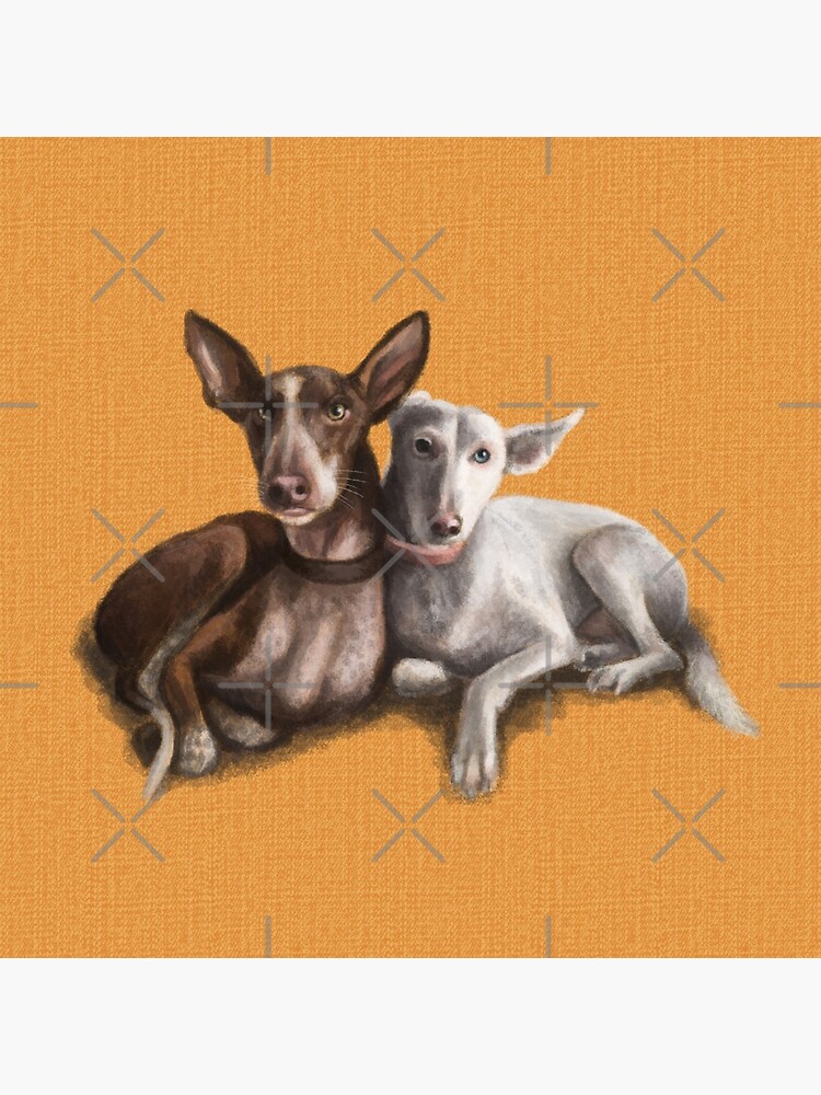 The Podenco by elspethrose