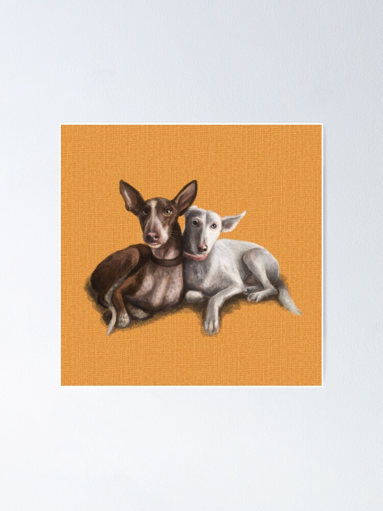 Alternate view of The Podenco Poster