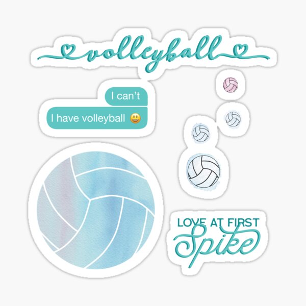 hydro flask stickers volleyball