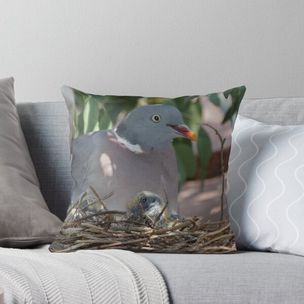 Item preview, Wood Pigeon Family designed and sold by dilouise.