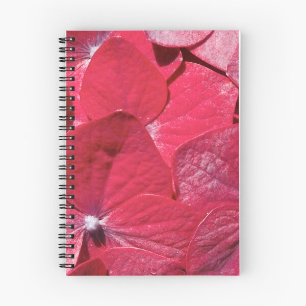 Item preview, Hydrangea closeup designed and sold by Gaspar Avila.