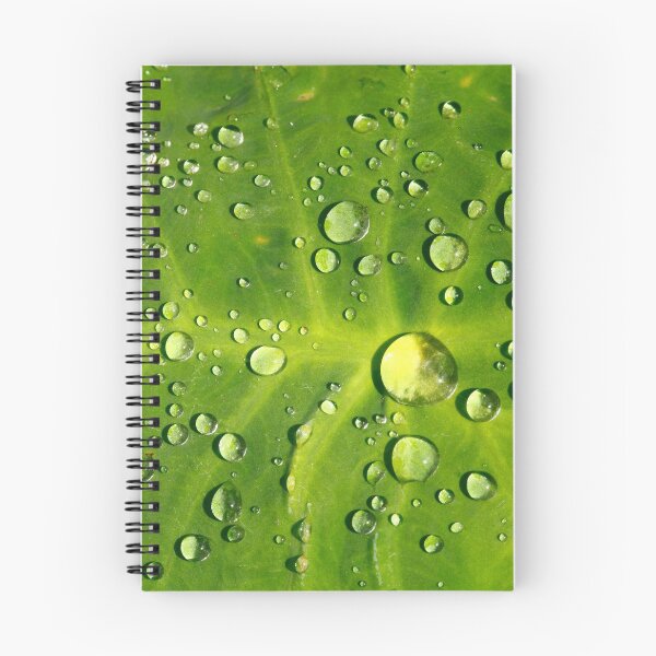 Item preview, Raindrops  designed and sold by Gaspar Avila.