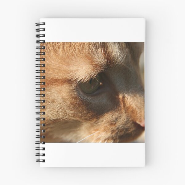 Item preview, last time designed and sold by sarah ward.