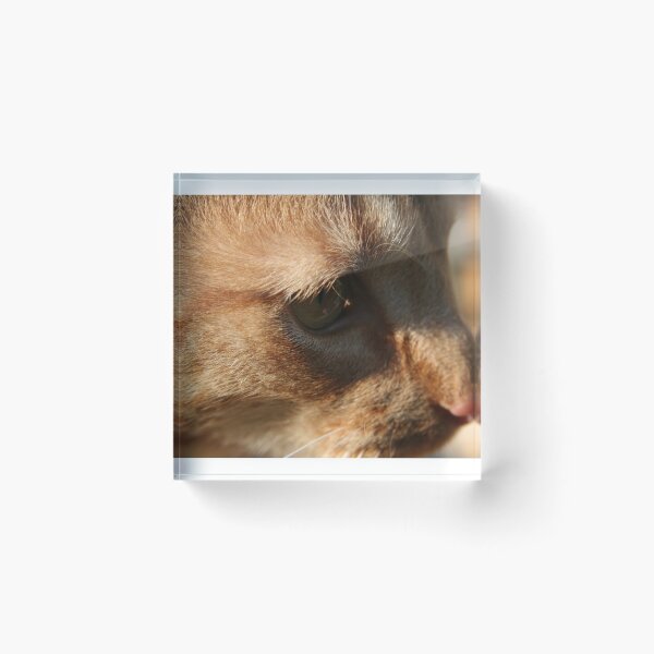 Item preview, last time designed and sold by sarah ward.