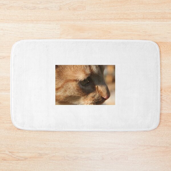 Item preview, last time designed and sold by sarah ward.