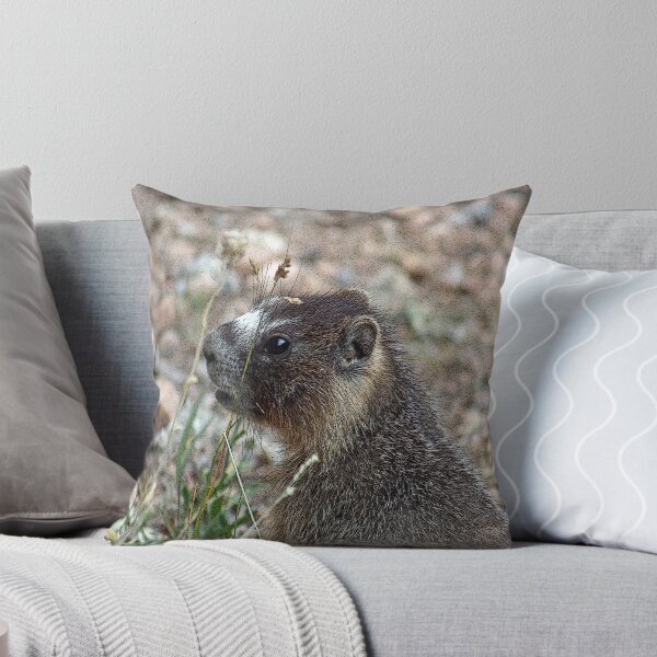 Item preview, Rocky Mountain Marmot designed and sold by mokacat.