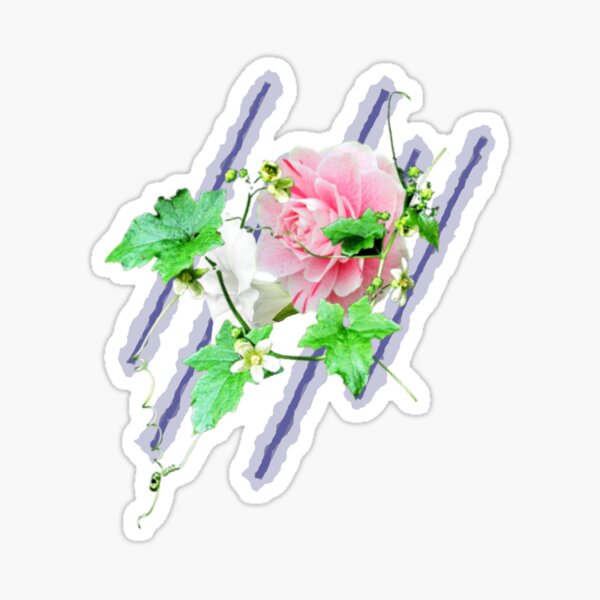 pink rose, single rose Sticker