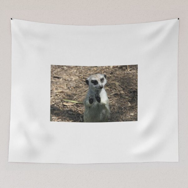 Item preview, Stop designed and sold by sarah ward.