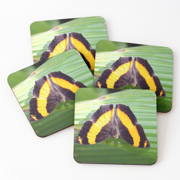Item preview, Upside Down designed and sold by sarah ward.