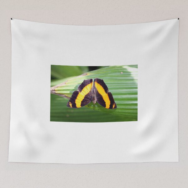 Item preview, Upside Down designed and sold by sarah ward.