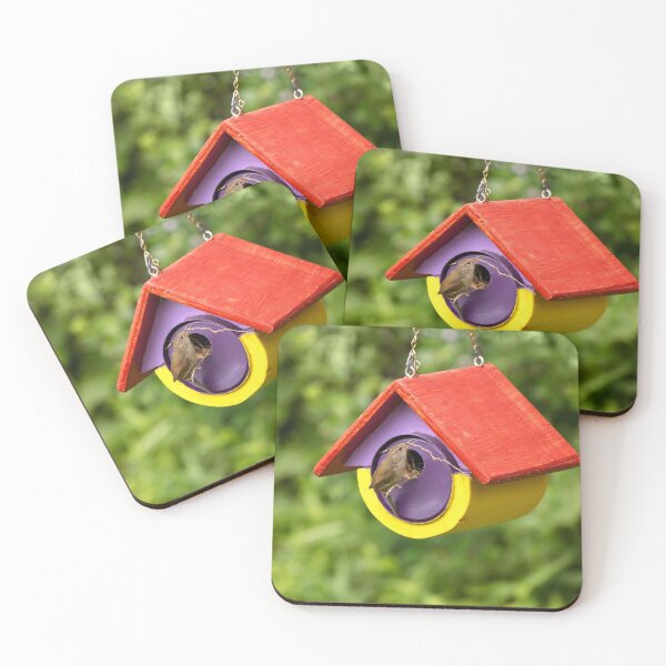 Item preview, Animal - Bird - The house wren designed and sold by Mike Savad Photography.