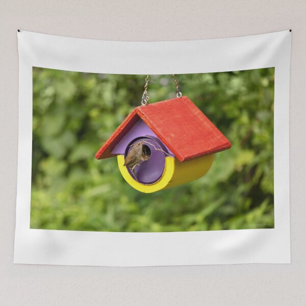 Item preview, Animal - Bird - The house wren designed and sold by Mike Savad Photography.