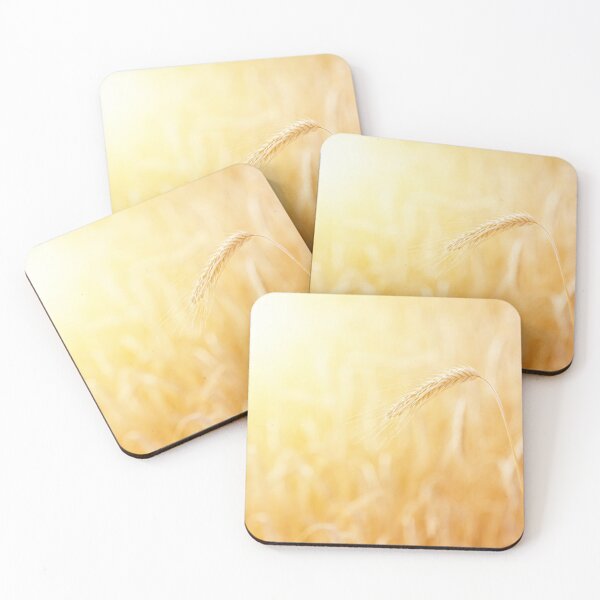 Item preview, Mature ear of triticale at scenic golden sunrise designed and sold by Lukasz Szczepanski.