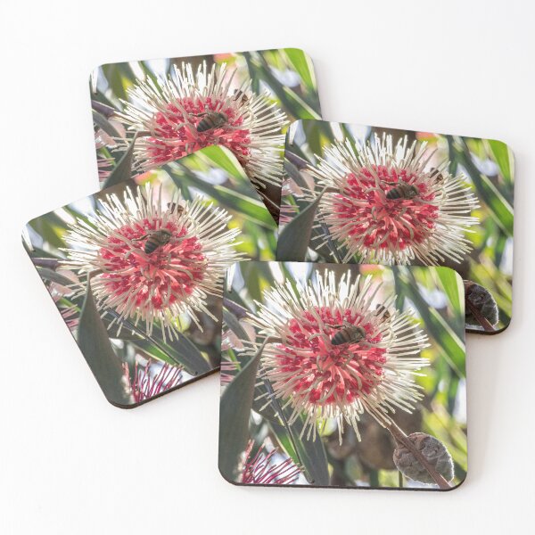 Item preview, Back light  Hakea Laurina. with Bee designed and sold by DPalmer.