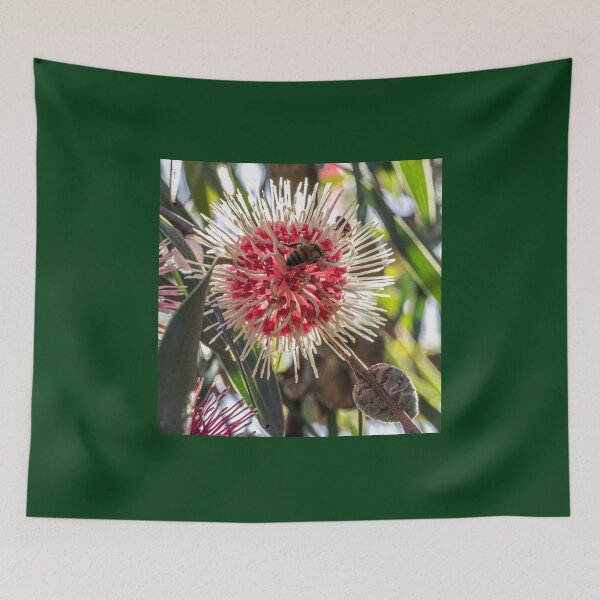 Item preview, Back light  Hakea Laurina. with Bee designed and sold by DPalmer.