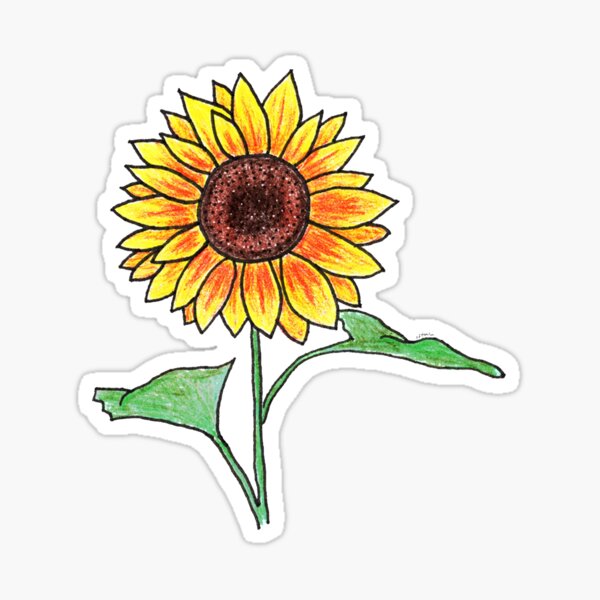 Sunflower Sticker