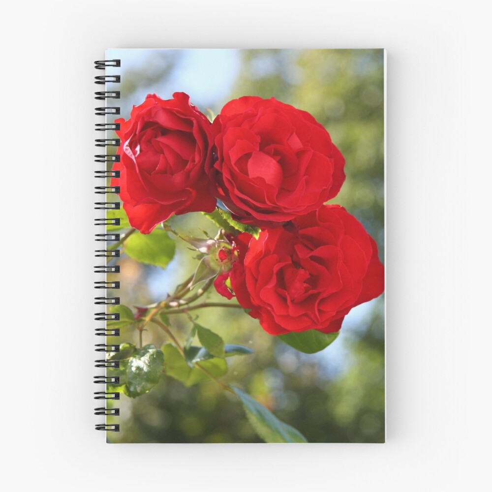 Vista previa del artículo con la obra «Cuaderno de espiral», diseñado y vendido por JHMimaging.