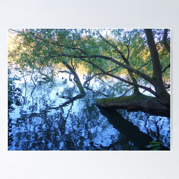 Item preview, Fallen Tree  designed and sold by Lilian Marshall.