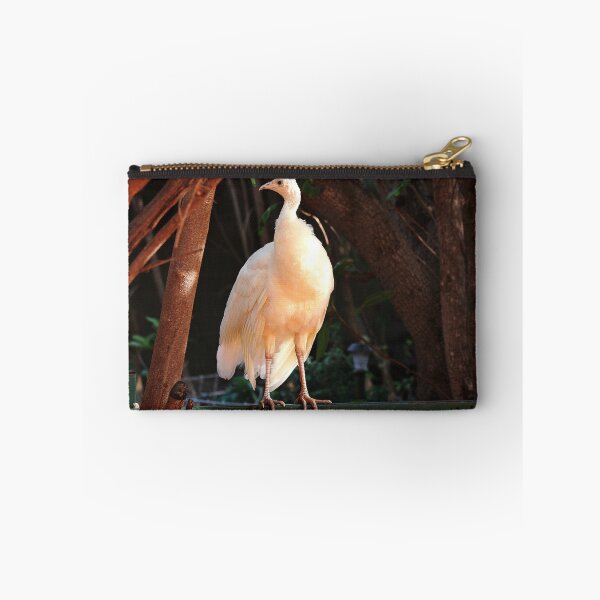 Item preview, Sunshine on my feathers makes me happy designed and sold by myraj.